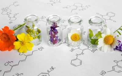 Why Cannabis Terpenes are Important