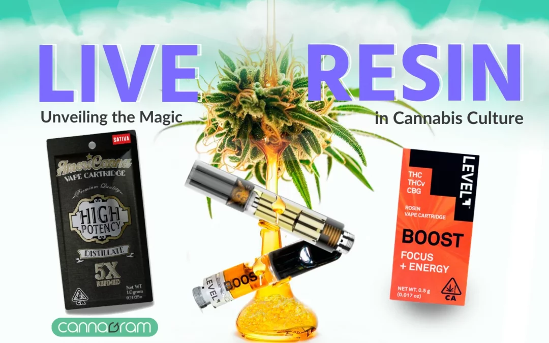 Live Resin: Unveiling the Magic in Cannabis Culture