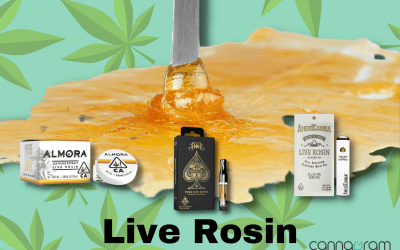 Live Resin: Unveiling the Magic in Cannabis Culture