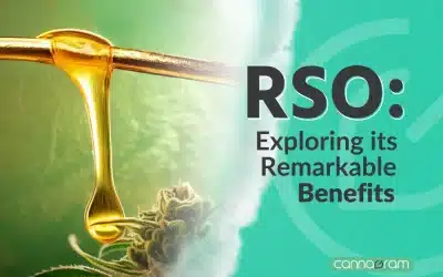 Rick Simpson Oil Exploring its Remarkable Benefits – 2023