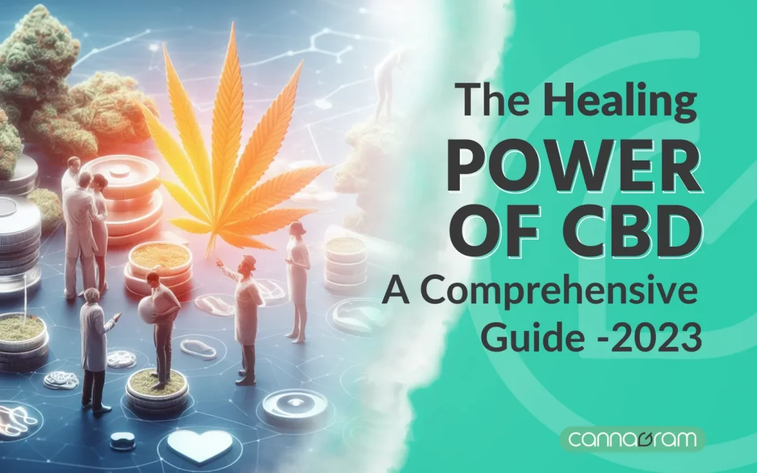 The Healing Power of CBD (Cannabinoids): A comprehensive Guide – 2023