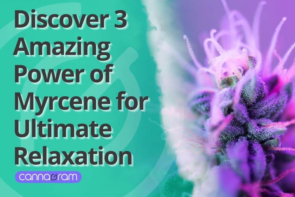 Vibrant cannabis flower covered in trichomes with a bold text overlay reading 'Discover 3 Amazing Power of Myrcene for Ultimate Relaxation' and a Cannagram logo.