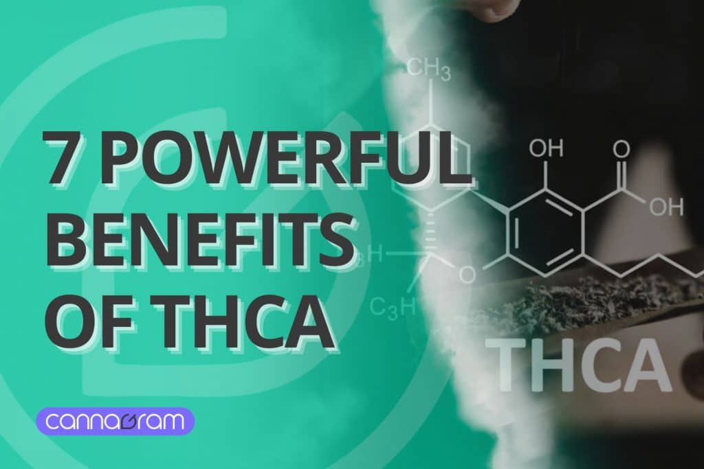 A digital graphic design featuring the title "Cannabis CBN: 5 Powerful Effects" in bold, black text with a shadow effect. The background has a gradient of green hues with a semi-transparent cannabis leaf icon. On the right side, there is an image of lush green cannabis plants with a chemical structure overlay representing CBN. A misty effect separates the two halves of the image. The Cannagram logo is displayed at the bottom left in a purple rounded rectangle.ded rectangle.