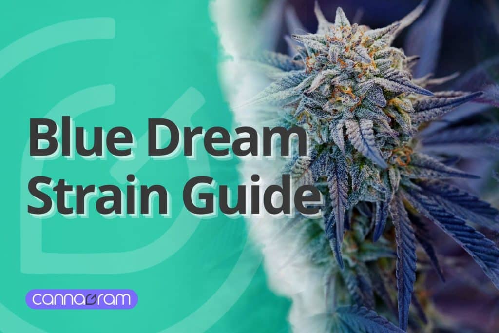 Blue Dream Strain Guide – A visually appealing image featuring a close-up of a frosty Blue Dream cannabis flower, alongside a modern graphic design with the Cannagram logo.