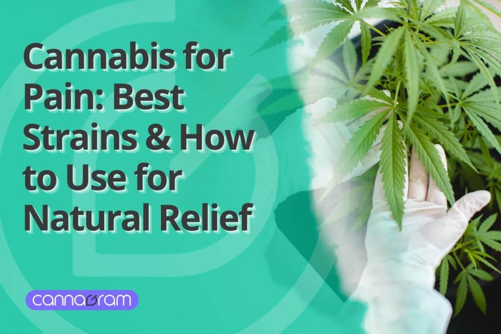 Cannabis for Pain Relief - Natural THC and CBD Remedies.