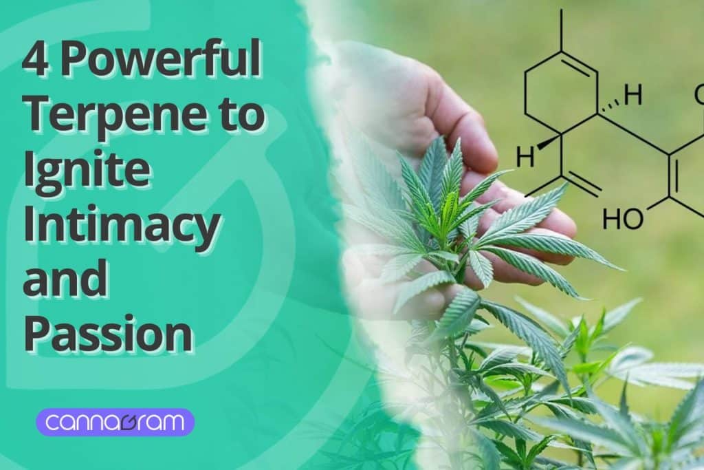 A person holding a cannabis plant with a terpene molecular structure overlay, alongside the text "4 Powerful Terpene to Ignite Intimacy and Passion" and the Cannagram logo.