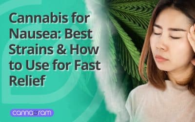 Cannabis for Nausea: Best Strains & How to Use for Fast Relief 2025