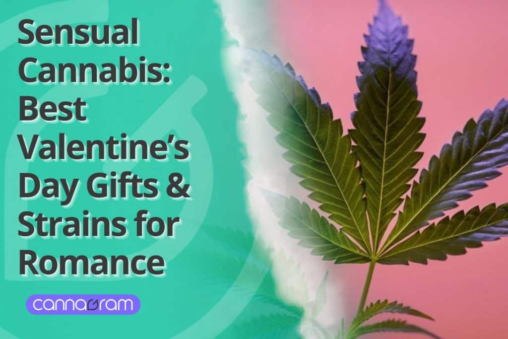 Close-up of a vibrant cannabis leaf with a pink background, alongside bold text promoting Sensual Cannabis as the best Valentine's Day gifts and strains for romance.