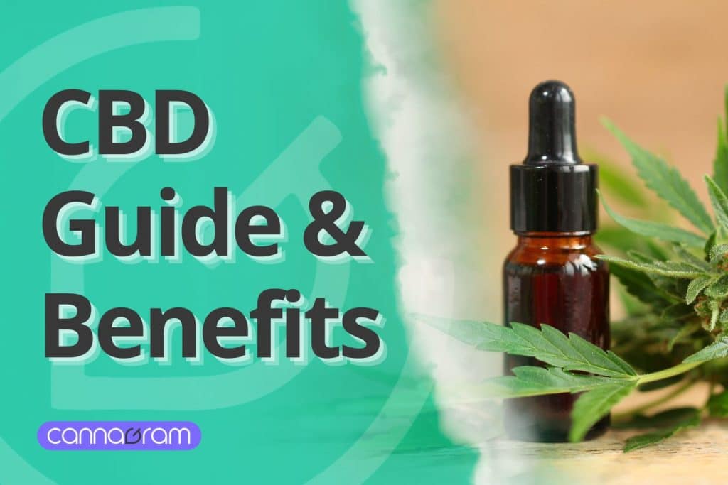 CBD oil bottle with cannabis leaves – A visual representation of cannabidiol benefits and uses.