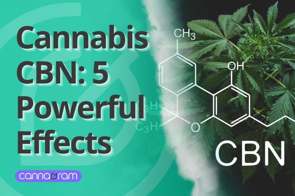 A digital graphic design featuring the title "Cannabis CBN: 5 Powerful Effects" in bold, black text with a shadow effect. The background has a gradient of green hues with a semi-transparent cannabis leaf icon. On the right side, there is an image of lush green cannabis plants with a chemical structure overlay representing CBN. A misty effect separates the two halves of the image. The Cannagram logo is displayed at the bottom left in a purple rounded rectangle.