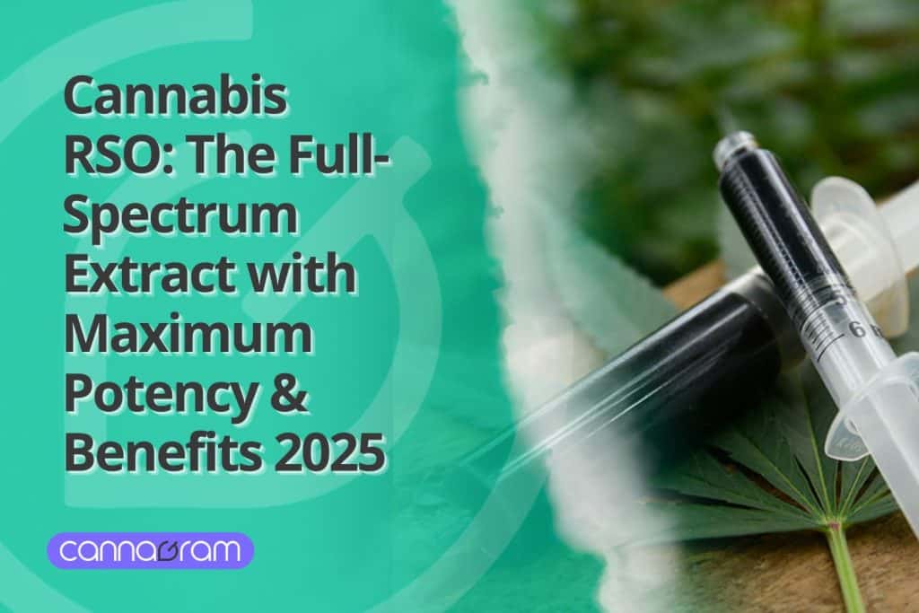 Close-up of a syringe filled with Rick Simpson Oil (Cannabis RSO), a potent full-spectrum cannabis extract, placed on a cannabis leaf.