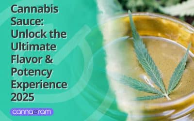 Cannabis Sauce: Unlock the Ultimate Flavor & Potency Experience 2025