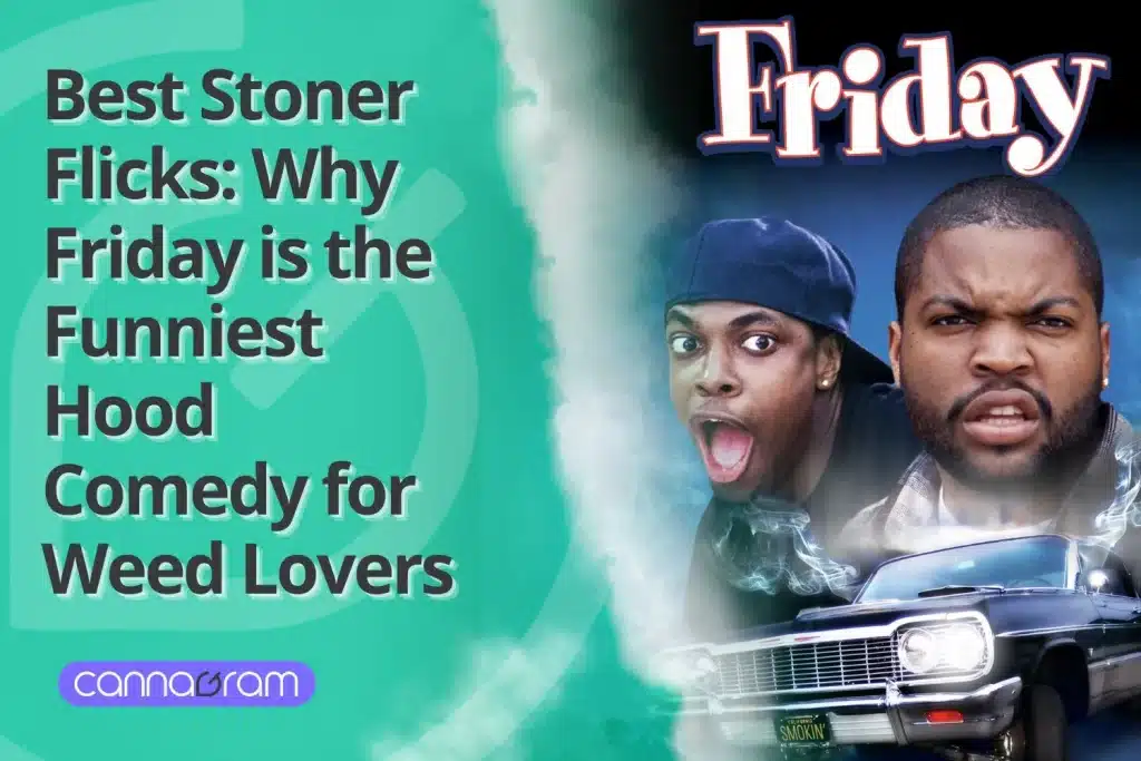 Best Stoner Flicks - Friday, the Funniest Hood Comedy for Weed Lovers.