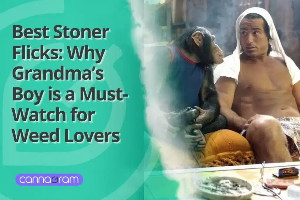 Best Stoner Flicks: Why Grandma’s Boy is a Must-Watch for Weed Lovers.