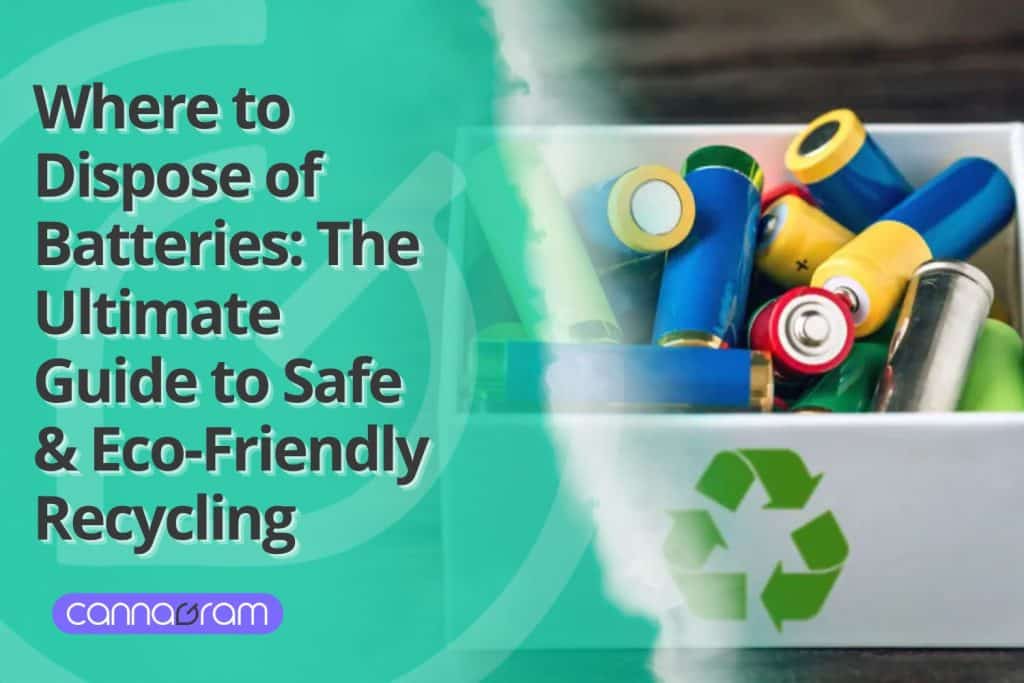 Box filled with used batteries marked with a green recycling symbol. The overlay text reads: 'Where to Dispose of Batteries: The Ultimate Guide to Safe & Eco-Friendly Recycling.' The Cannagram logo is displayed at the bottom left.