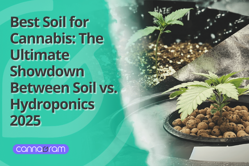 Graphic comparing soil and hydroponic cannabis growing methods, featuring a cannabis seedling in soil on the top half and another in a hydroponic setup with clay pebbles on the bottom half. The text reads: 'Best Soil for Cannabis: The Ultimate Showdown Between Soil vs. Hydroponics 2025.' The Cannagram logo is displayed at the bottom left.