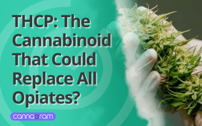THCP: The Cannabinoid That Could Replace All Opiates?