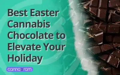 Best Easter Cannabis Chocolate to Elevate Your Holiday