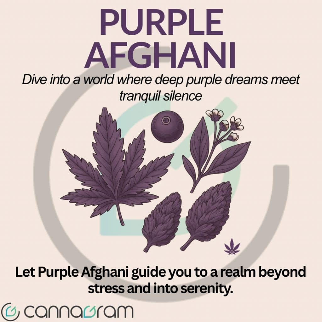 Illustration of Purple Afghani cannabis leaves and herbs with calming tagline about serenity and stress relief