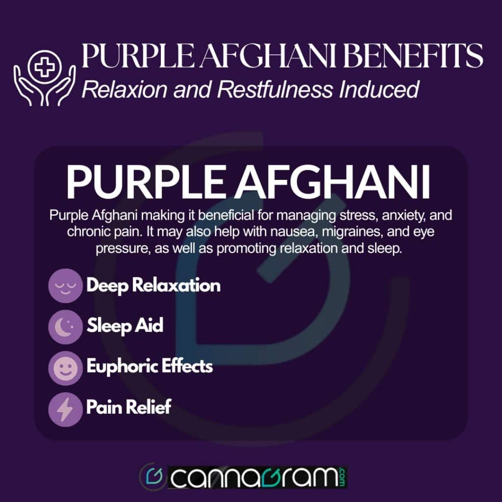 Informational graphic listing the therapeutic benefits of Purple Afghani strain, including deep relaxation, sleep aid, euphoric effects, and pain relief