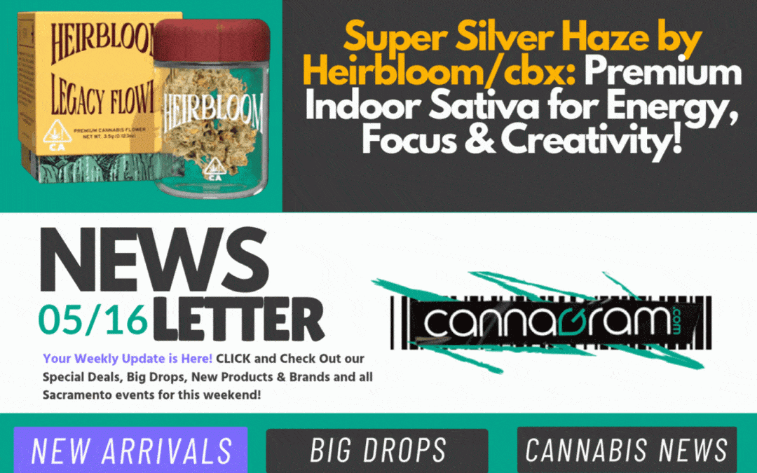 Cannagram newsletter header featuring Super Silver Haze indoor sativa cannabis delivery
