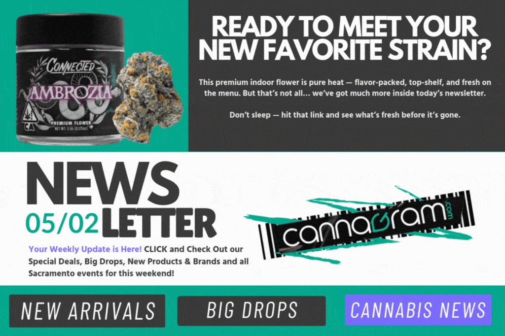 Bold graphic of a Connected Ambrozia cannabis jar alongside a loose bud on a teal background. To the right, large white text reads ‘READY TO MEET YOUR NEW FAVORITE STRAIN?’ above a bright yellow ‘CLICK HERE’ button. Below, the header ‘NEWSLETTER 05/02’ appears next to the CannaGram logo, with navigation tabs labeled ‘New Arrivals,’ ‘Big Drops,’ and ‘Cannabis News.