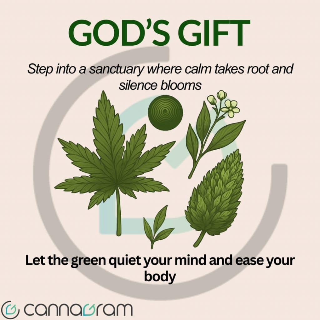 Illustration of God’s Gift cannabis theme with green leaves, herbal elements, and text that reads “Step into a sanctuary where calm takes root and silence blooms” and Let the green quiet your mind and ease your body.