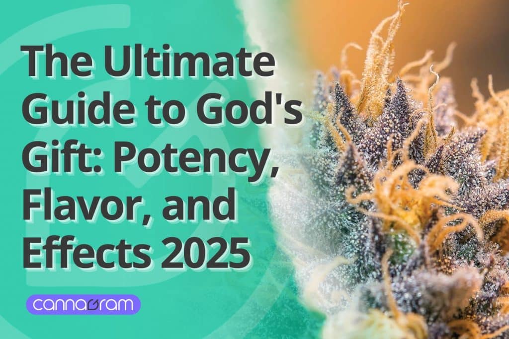 Close-up of frosty cannabis flower with vibrant orange hairs, paired with bold text: “The Ultimate Guide to God's Gift: Potency, Flavor, and Effects 2025.