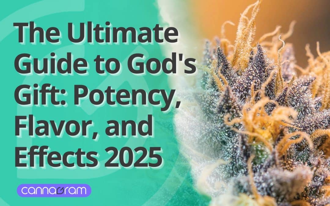 Close-up of frosty cannabis flower with vibrant orange hairs, paired with bold text: “The Ultimate Guide to God's Gift: Potency, Flavor, and Effects 2025.