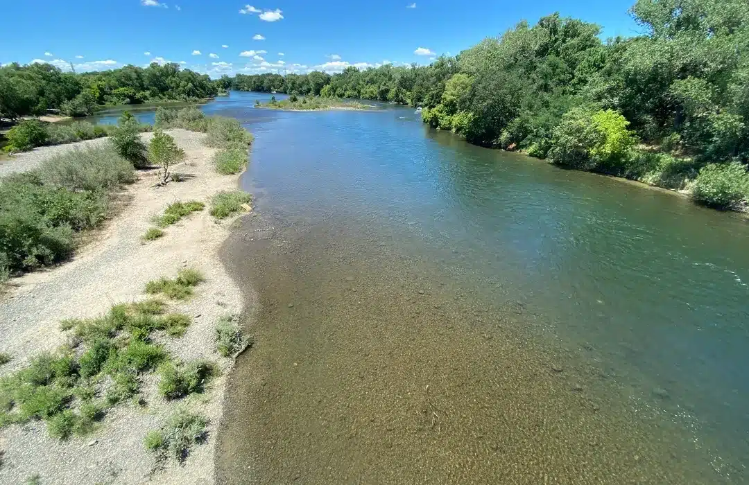 Scenic view of the American River Parkway near Sunrise Access in Fair Oaks, CA, with clear water and tree-lined banks