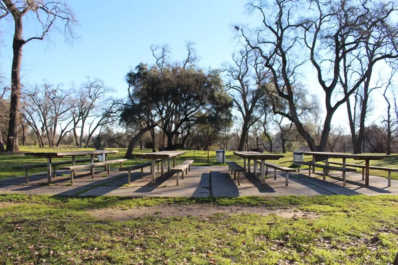 Picnic tables surrounded by oak trees at Ancil Hoffman Park in Carmichael, CA