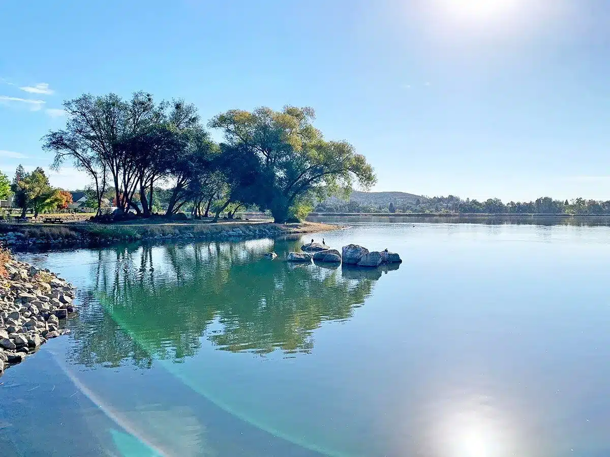 Cameron Park Lake shoreline with calm water and trees in Cameron Park, CA