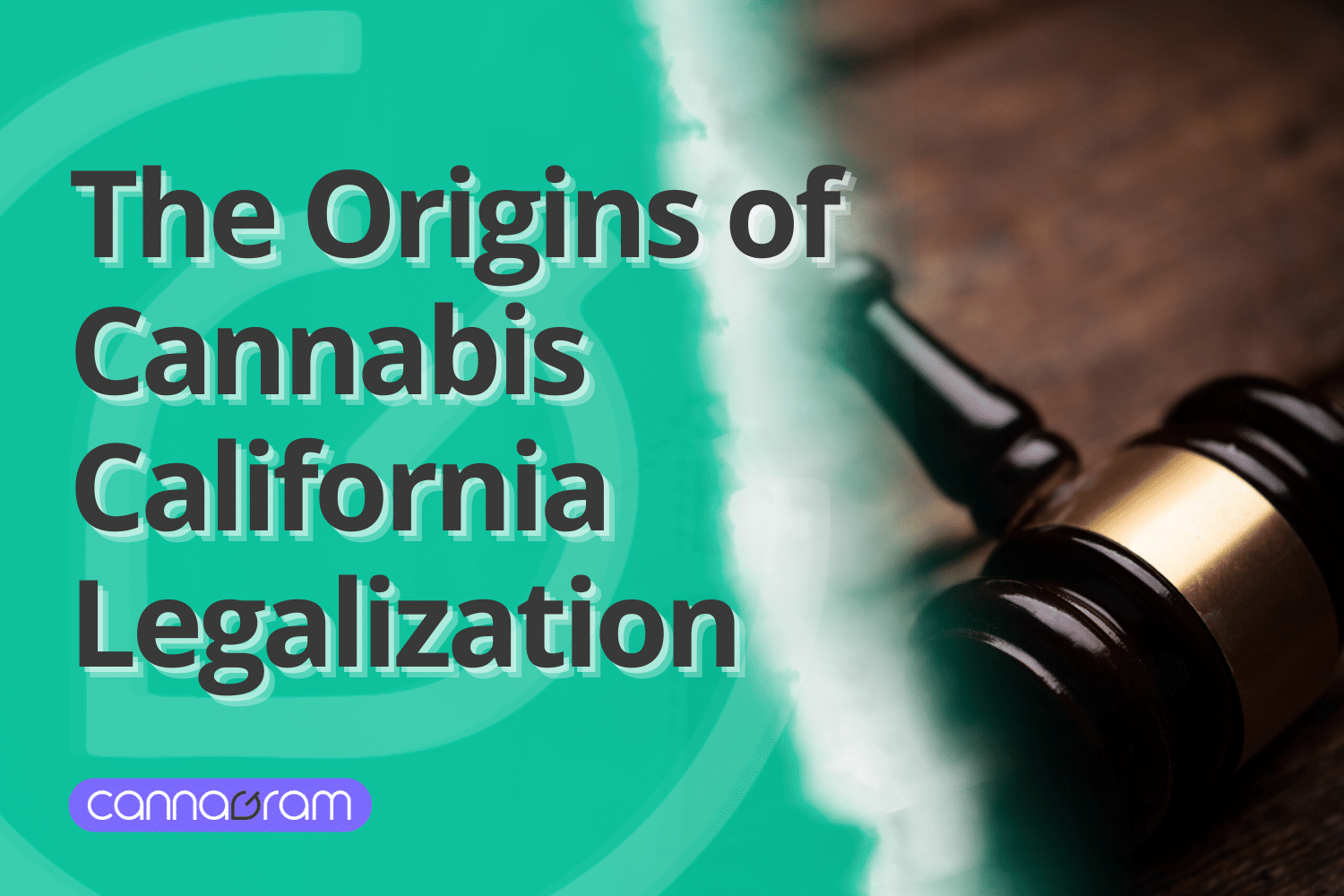 A checklist and magnifying glass with premium cannabis flower, illustrating four things to consider before buying high-quality cannabis, with Cannagram logo.
