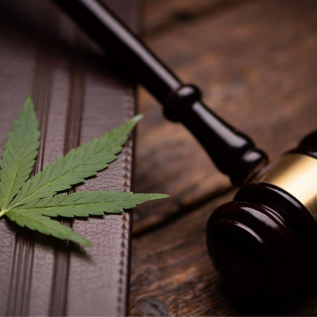 A cannabis leaf resting on a legal book next to a judge’s gavel, symbolizing cannabis California legalization.