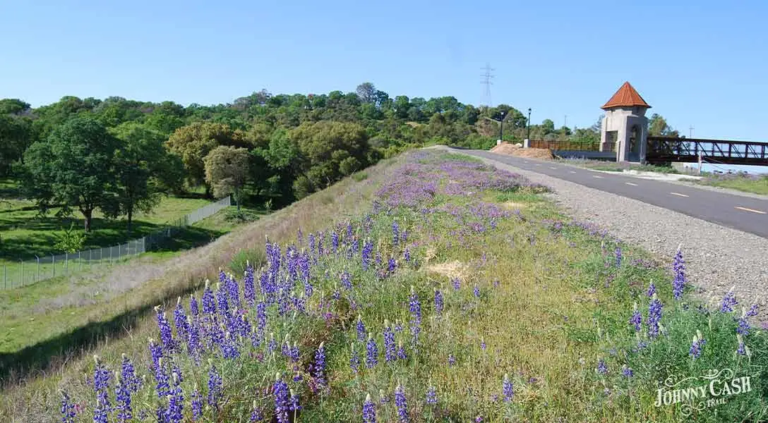 Scenic view of wildflowers and bike path along the Johnny Cash Trail in Folsom, California