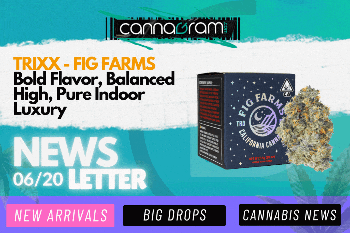 A checklist and magnifying glass with premium cannabis flower, illustrating four things to consider before buying high-quality cannabis, with Cannagram logo.