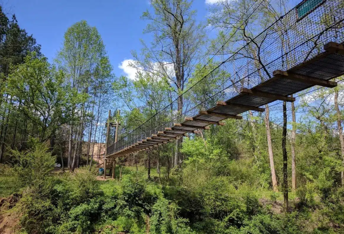 Elevated suspension bridge surrounded by green forest along Twelve Bridges Trail