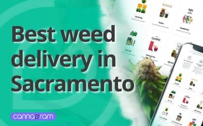 Best Weed Delivery Near Me – Sacramento 2025