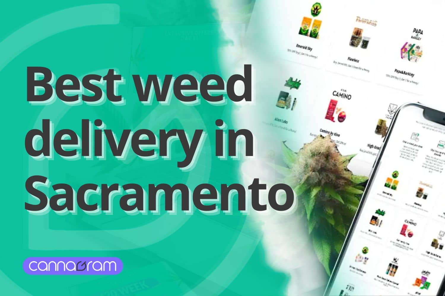 A checklist and magnifying glass with premium cannabis flower, illustrating four things to consider before buying high-quality cannabis, with Cannagram logo.