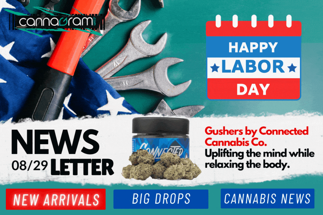A checklist and magnifying glass with premium cannabis flower, illustrating four things to consider before buying high-quality cannabis, with Cannagram logo.
