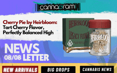 Cannagramer’s News: 08/08 – Cherry Pie, Edibles 2025 & Gelato OZ Deal