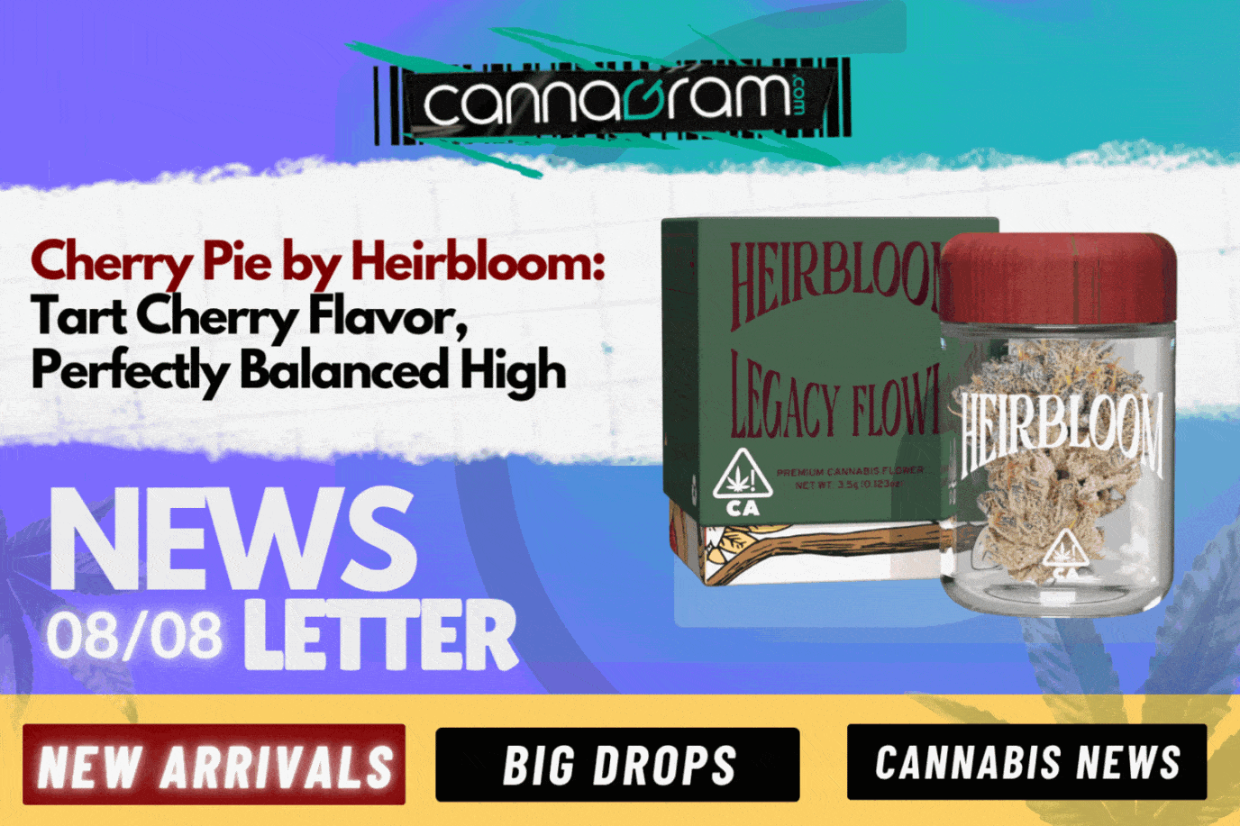 A checklist and magnifying glass with premium cannabis flower, illustrating four things to consider before buying high-quality cannabis, with Cannagram logo.