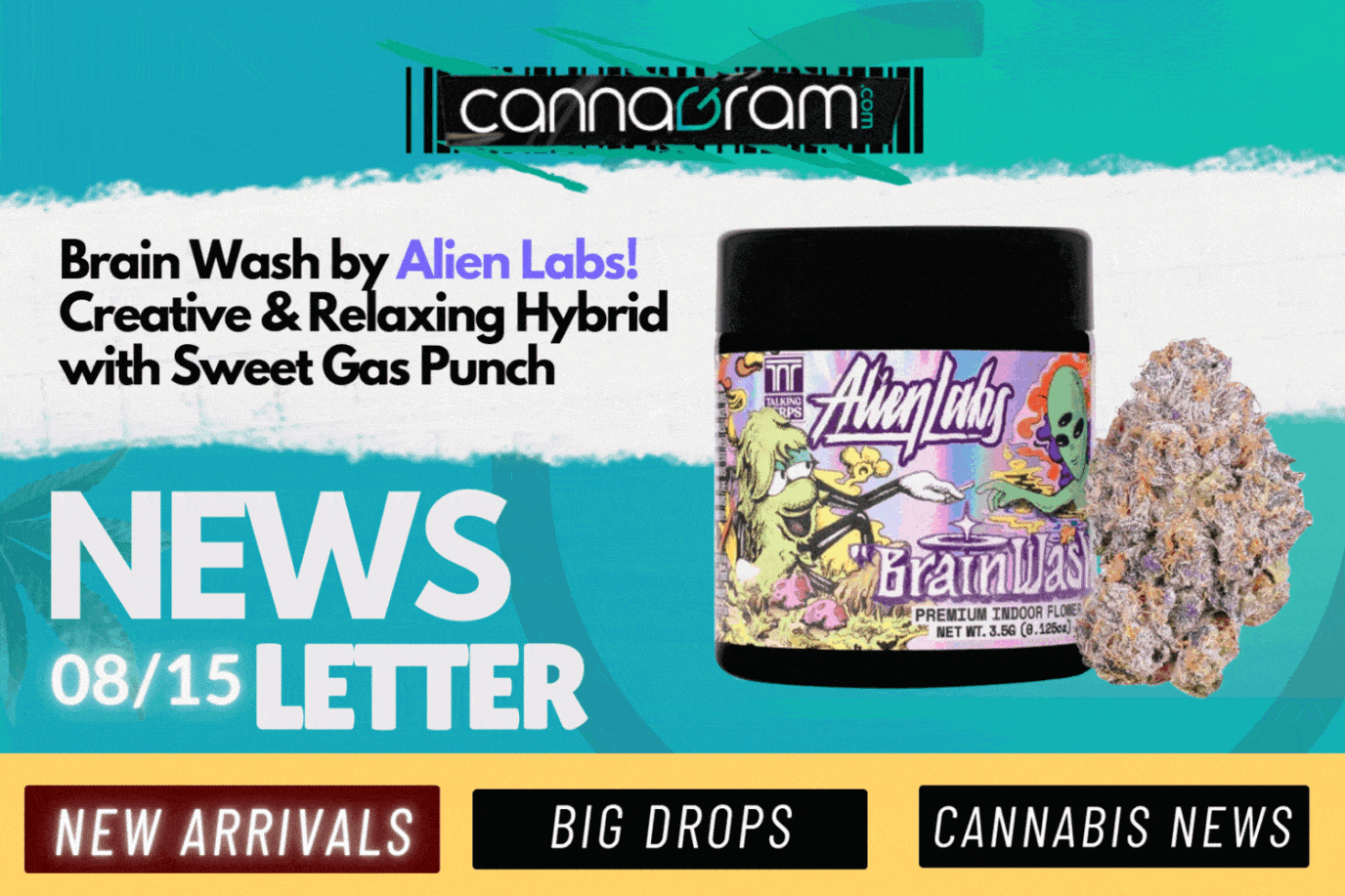 A checklist and magnifying glass with premium cannabis flower, illustrating four things to consider before buying high-quality cannabis, with Cannagram logo.