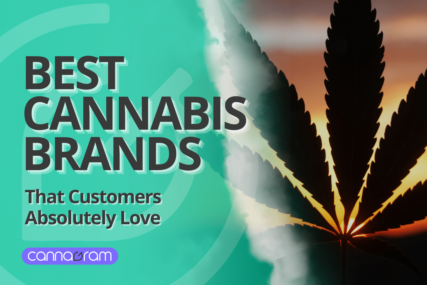 A checklist and magnifying glass with premium cannabis flower, illustrating four things to consider before buying high-quality cannabis, with Cannagram logo.