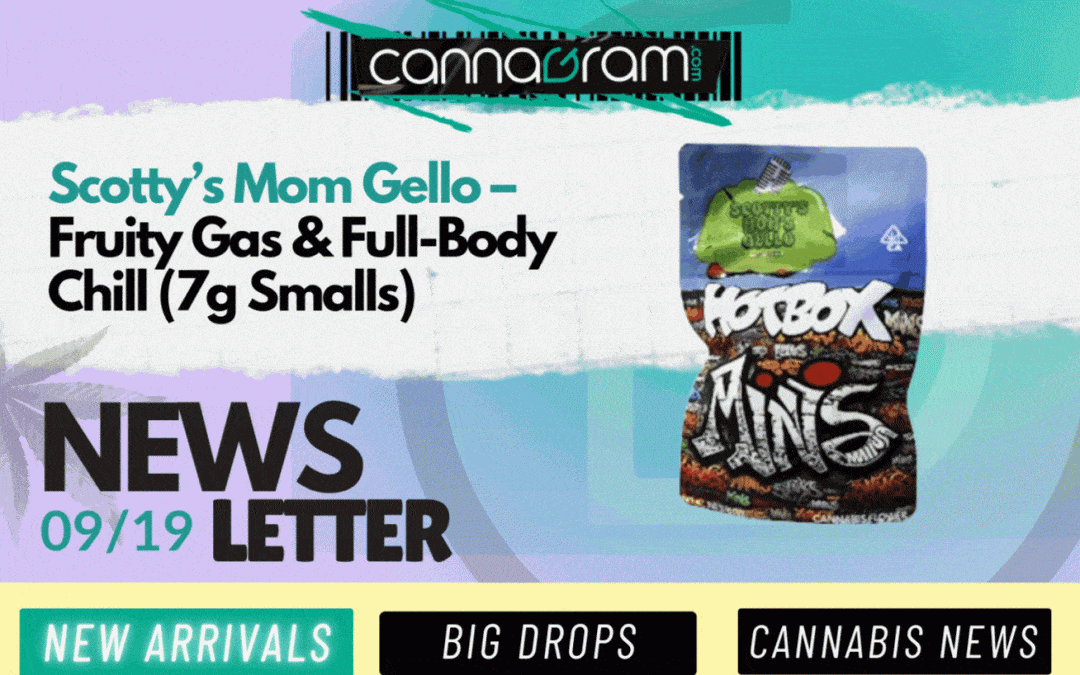 Cannagramer's News 09/19 — Hotbox Scotty’s Mom Gello & big drops