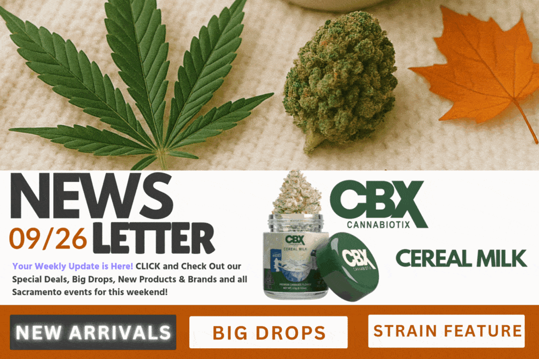 A checklist and magnifying glass with premium cannabis flower, illustrating four things to consider before buying high-quality cannabis, with Cannagram logo.
