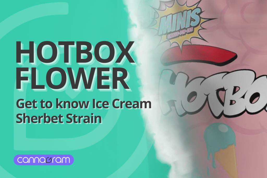 Ice Cream Sherbet Hotbox promotional banner featuring Hotbox Indoor Flower branding.