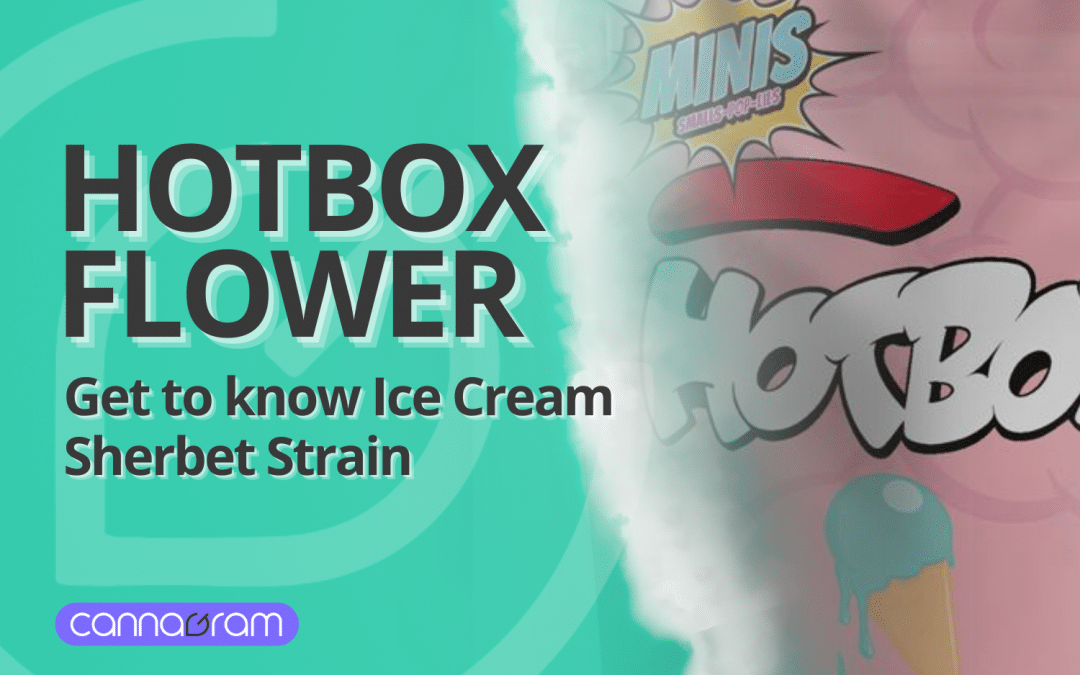 Ice Cream Sherbet Hotbox promotional banner featuring Hotbox Indoor Flower branding.