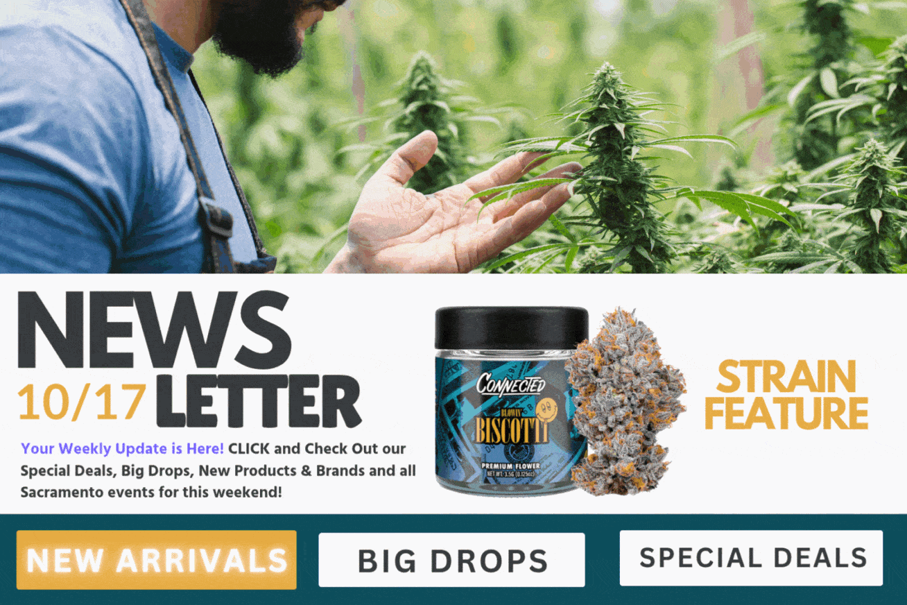 A checklist and magnifying glass with premium cannabis flower, illustrating four things to consider before buying high-quality cannabis, with Cannagram logo.