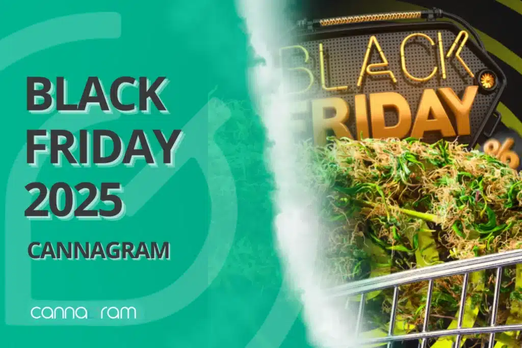 Black Friday 2025 Cannagram banner with teal background and cannabis buds in a shopping cart